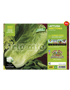 ORTO MIO - PIANTA ALTA...