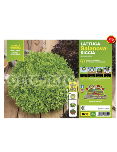 ORTO MIO - PIANTA ALTA QUALITA' -... ORTO MIO - PIANTA ALTA QUALITA' -...