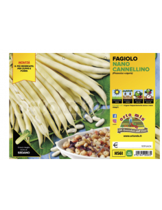 ORTO MIO - PIANTA ALTA...