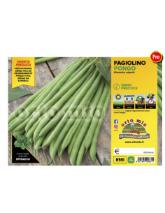 ORTO MIO - PIANTA ALTA...