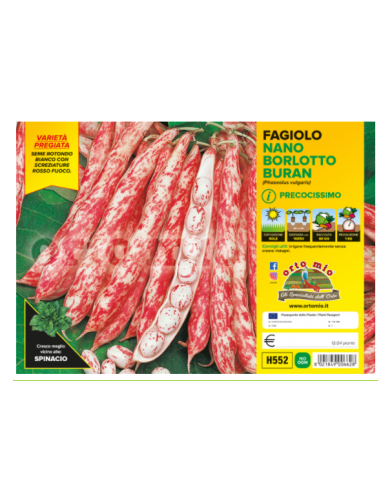 ORTO MIO - PIANTA ALTA QUALITA' -... ORTO MIO - PIANTA ALTA QUALITA' -...