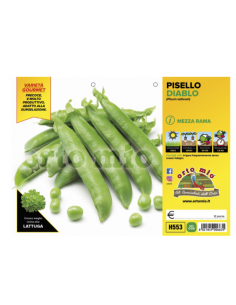 ORTO MIO - PIANTA ALTA...