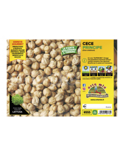 ORTO MIO - PIANTA ALTA...