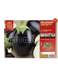 ORTO MIO - PIANTA ALTA...