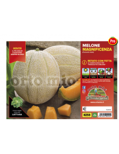 ORTO MIO - PIANTA ALTA...