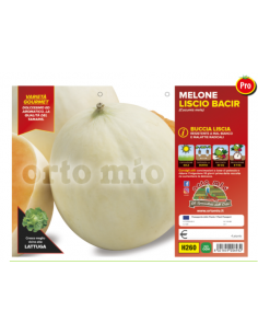 ORTO MIO - PIANTA ALTA...