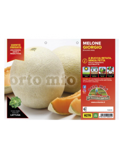 ORTO MIO - PIANTA ALTA...