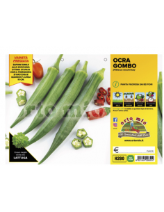 ORTO MIO - PIANTA ALTA...