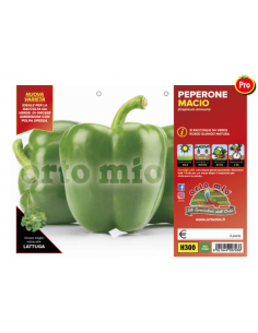 ORTO MIO - PIANTA ALTA...