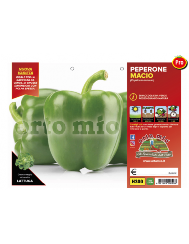 ORTO MIO - PIANTA ALTA QUALITA' -... ORTO MIO - PIANTA ALTA QUALITA' -...