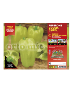 ORTO MIO - PIANTA ALTA...