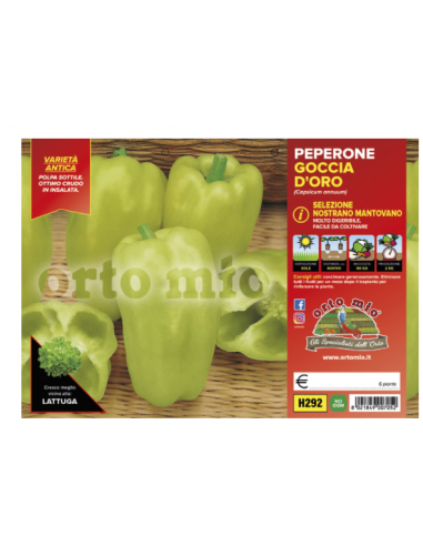 ORTO MIO - PIANTA ALTA QUALITA' -... ORTO MIO - PIANTA ALTA QUALITA' -...