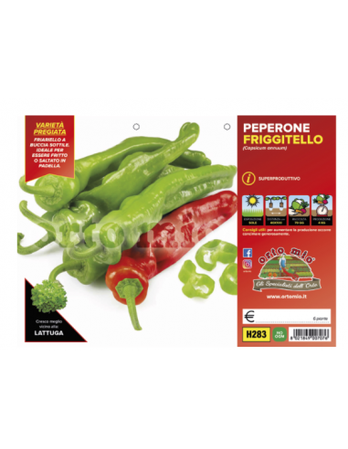 ORTO MIO - PIANTA ALTA QUALITA' -... ORTO MIO - PIANTA ALTA QUALITA' -...