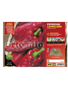 ORTO MIO - PIANTA ALTA...