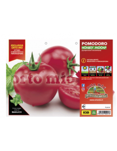 ORTO MIO - PIANTA ALTA...