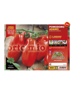 ORTO MIO - PIANTA ALTA...