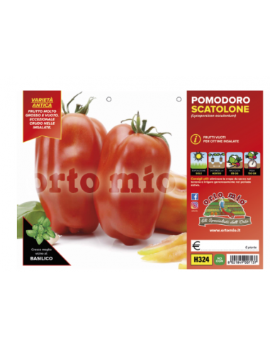 ORTO MIO - PIANTA ALTA QUALITA' -... ORTO MIO - PIANTA ALTA QUALITA' -...