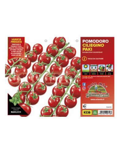 ORTO MIO - PIANTA ALTA QUALITA' -... ORTO MIO - PIANTA ALTA QUALITA' -...