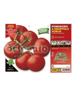 ORTO MIO - PIANTA ALTA...