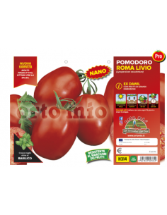 ORTO MIO - PIANTA ALTA...