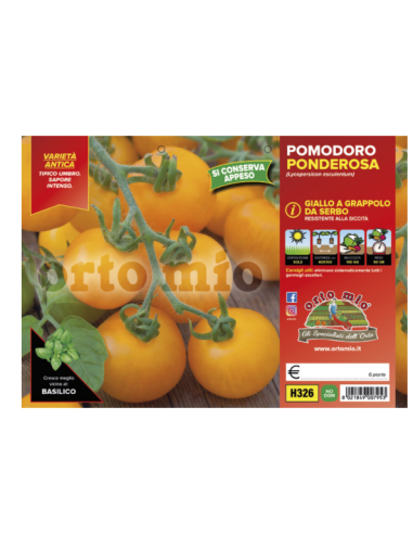 ORTO MIO - PIANTA ALTA QUALITA' -... ORTO MIO - PIANTA ALTA QUALITA' -...