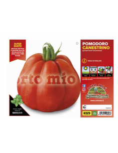 ORTO MIO - PIANTA ALTA...