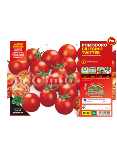 ORTO MIO - PIANTA ALTA QUALITA' -... ORTO MIO - PIANTA ALTA QUALITA' -...