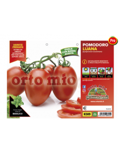 ORTO MIO - PIANTA ALTA...