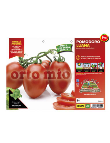 ORTO MIO - PIANTA ALTA QUALITA' -... ORTO MIO - PIANTA ALTA QUALITA' -...