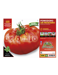 ORTO MIO - PIANTA ALTA...