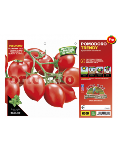 ORTO MIO - PIANTA ALTA...