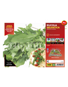 ORTO MIO - PIANTA ALTA...