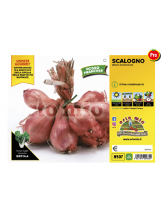 ORTO MIO - PIANTA ALTA...