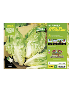 ORTO MIO - PIANTA ALTA...