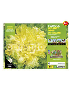 ORTO MIO - PIANTA ALTA...