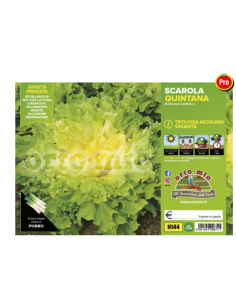 ORTO MIO - PIANTA ALTA...