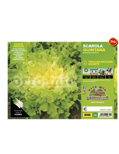 ORTO MIO - PIANTA ALTA QUALITA' -... ORTO MIO - PIANTA ALTA QUALITA' -...