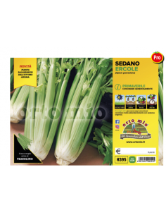 ORTO MIO - PIANTA ALTA...