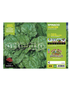 ORTO MIO - PIANTA ALTA...