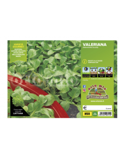 ORTO MIO - PIANTA ALTA...