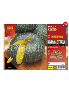 ORTO MIO - PIANTA ALTA...