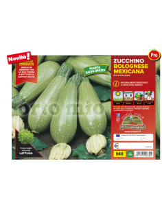 ORTO MIO - PIANTA ALTA...