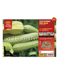 ORTO MIO - PIANTA ALTA...