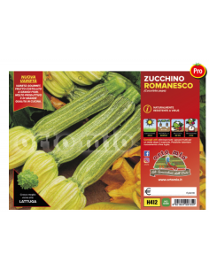 ORTO MIO - PIANTA ALTA...