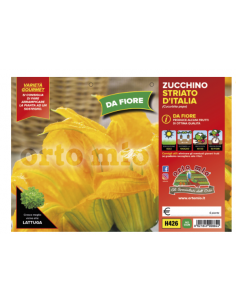 ORTO MIO - PIANTA ALTA...