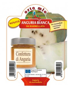 ORTO MIO - PIANTA ALTA...