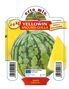 ORTO MIO - PIANTA ALTA...