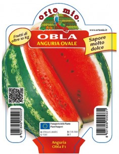 ORTO MIO - PIANTA ALTA...