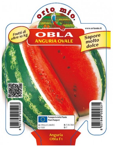 ORTO MIO - PIANTA ALTA QUALITA' -... ORTO MIO - PIANTA ALTA QUALITA' -...