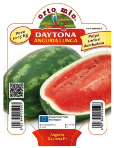 ORTO MIO - PIANTA ALTA...